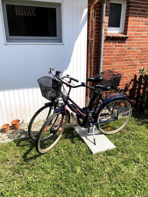 "Kleine 4" Idyllisches Tinyhouse An Der Nordsee Norden Zewnętrze zdjęcie